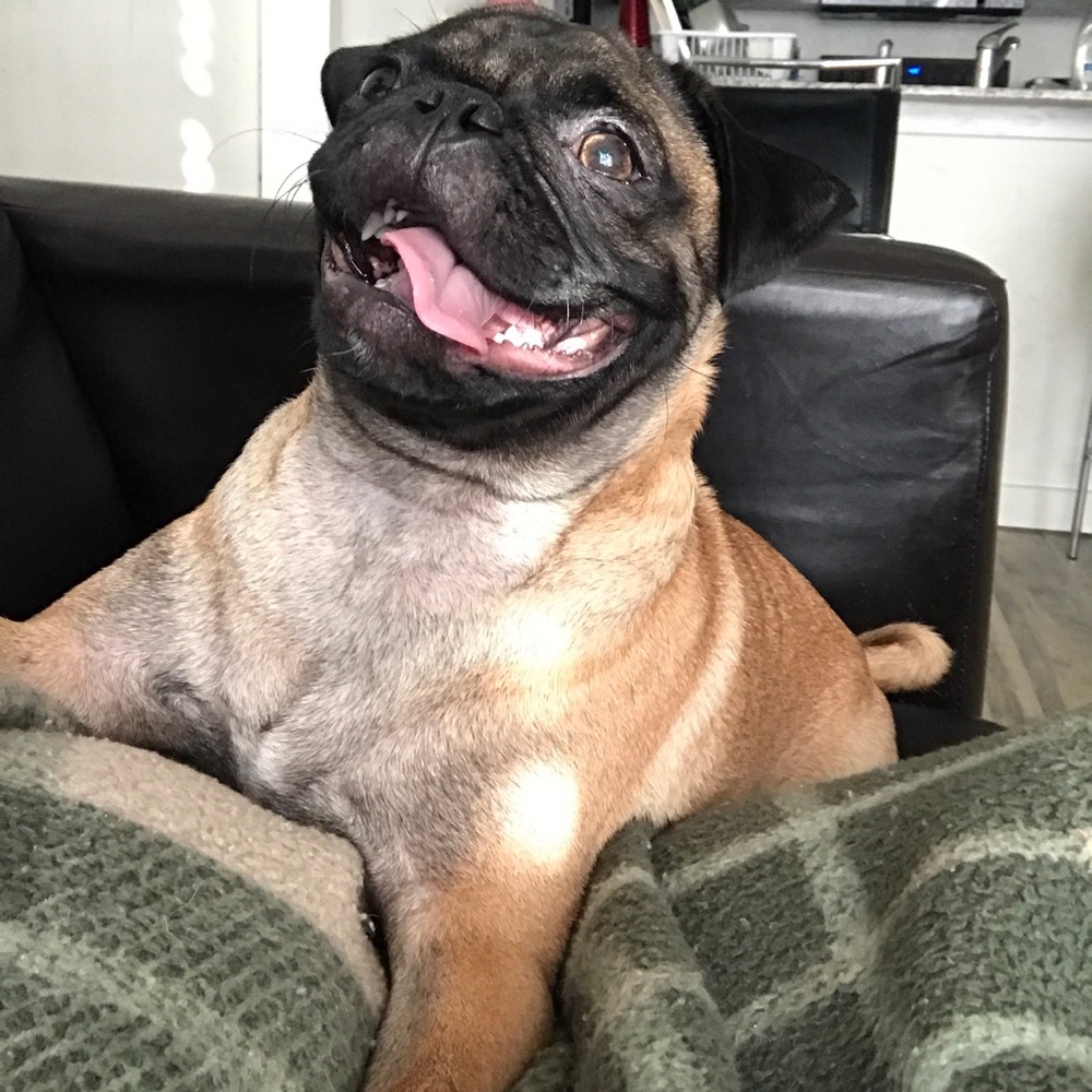 SALE!! EVERYTHING MUST GO!